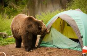 News 5 Reasons Why Camping is Overrated for College Students