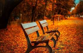 Summer's Over: 10 Reasons To Be Excited For Fall