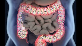 Cal Poly Online Courses Nutrition and Health: Human Microbiome for Cal Poly Students in San Luis Obispo, CA