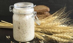 DU Online Courses Food Fermentation: The Science of Cooking with Microbes for University of Denver Students in Denver, CO