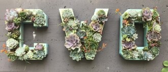 Fashion Institute of Design & Merchandising-San Francisco Jobs Paid apprenticeship to become an early childhood educator Posted by The Children's Workshop Oakland Reggio Preschool for Fashion Institute of Design & Merchandising-San Francisco Students in San Francisco, CA
