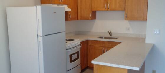 UCSF Housing Sunny 1BR Inner Richmond apartment! for UC San Francisco Students in San Francisco, CA