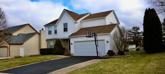 OWU Housing Beautiful 4BD 2.5 BA home with Olentangy schools for Ohio Wesleyan University Students in Delaware, OH