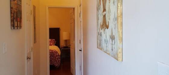 New Orleans Housing 2 Bedroom 2 FULL Bath in the F.Q.! for New Orleans Students in New Orleans, LA