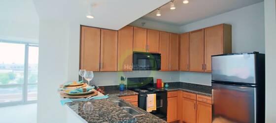 UIC Housing 3 Bedroom 2 Bath Printers Row, WD in unit for University of Illinois at Chicago Students in Chicago, IL