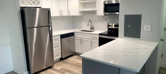 DeVry Housing Newly Remodeled 2BR/1.5B Apartment with Fire Place for DeVry University Students in Addison, IL