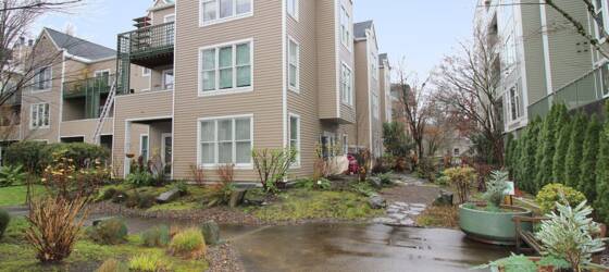 OHSU Housing SPECIAL: 1 MO FREE - Gorgeous 2 Bedroom/2 Bath River Place Condo! for Oregon Health & Science University Students in Portland, OR