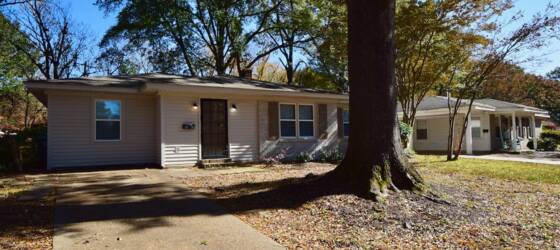 U of M Housing BEAUTIFULLY UPDATED 4 bed, 2 bath home in Colonial Acres. for University of Memphis Students in Memphis, TN